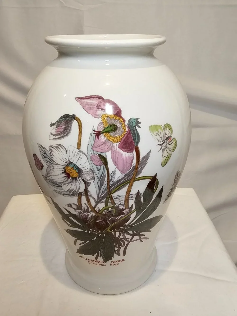 Portmeirion Botanic Garden Vase Helleborus Niger Christmas Rose Canton Floral